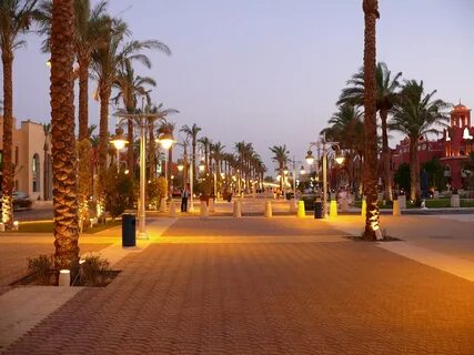 day tours from hurghada